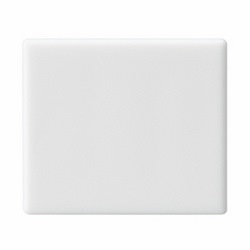 DUST COVER FOR USE WITH RJ45 JACK SYSTIMAX MGS300, MPS100E 50 PER PACK COLOR WHITE