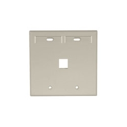 Wall Plate, 1-Port Double-Gang, With ID Windows, Ivory