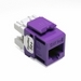 GigaMax 5e+ QuickPort Connector, Category 5e, Purple