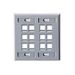 Wall Plate, 12-Port Double-Gang, With ID Windows, Grey