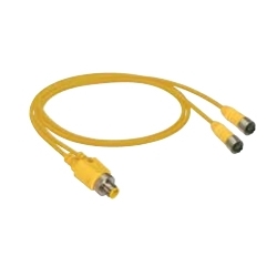 M12-Duo-Male to 2xM12 Female Str. Splitter, double-ended, M12-duo, male straight to two M12, female straight connectors with self-locking threaded joint
