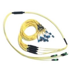Array Cable Assembly, Multimode, 12-Fiber, 200&#8217; Cord Length, 14&#8217; Length, Standard Breakout Length, Aqua Jacket, Aqua (Connector A/B)