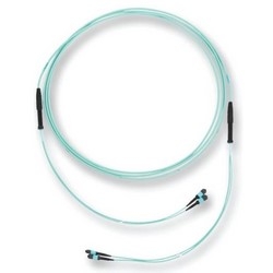 Trunk Cable, OM4, Multimode, LSZH, 24-Fiber, MTP Connector, 450 N Tensile Strength, 15 Meter Cable Length, 800 MM Leg Length, Composite Housing, Turquoise, Single Grip
