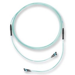 Trunk Cable, OM4, Multimode, LSZH, 24-Fiber, MTP Connector, 600 N Tensile Strength, 21 Meter Cable Length, 800 MM Leg Length, Composite Housing, Turquoise