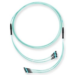 Trunk Cable, OM4, Multimode, LSZH, 48-Fiber, MTP Connector, 440 N Tensile Strength, 14 Meter Cable Length, 800 MM Leg Length, Composite Housing, Turquoise