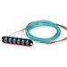 Closet Connector Housing (CCH) Panel, pigtailed, LC connectors, Duplex, 12 fiber, 50 µm multimode (OM4)