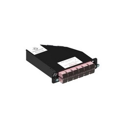 Readypatch Lazrspeed Keyed Module, 24 LC Ports, Rose