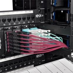 MTP/MPO Multimode Patch Cable, 12 Fiber, 40/100 GbE, 40/100GBASE-SR4, OM4 Plenum-Rated (F/F), Push/Pull Tab, Magenta, 3 m (9.8 ft.)
