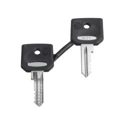 Schneider Electric Harmony XB4, Set of 2 keys, Ronis 455