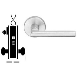 ルル PR223784V6.JPG