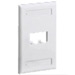 Faceplate, 2 Port, Single Gang, Classic, International Gray