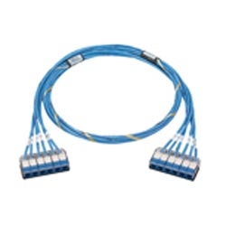 QN Cable Assembly, Category 6, CMR, Blue UTP Cable, Cassette to Cassette, 40ft