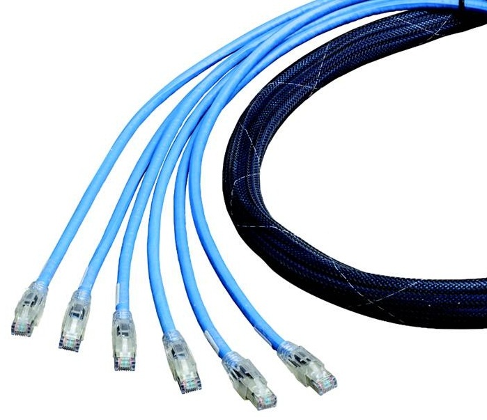 Cable Assembly, Cat 6A, 24 AWG, Solid, 12 ft. L, Blue Jacket