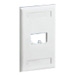 Faceplate, 2 Port, Single Gang, Classic, International Gray