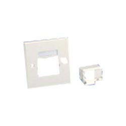 Faceplate Frame & Insert, Single Gang, 86x86mm, With 1/2-Size Sloped Shuttered Module Insert, UK, White White
