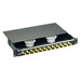 Fiber Tray With 12 Duplex SC Connectors