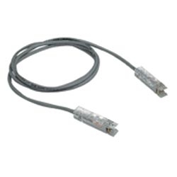 One 2 pair GP6(TM) Connector on each end.  Meets Category 5 performance requirements.