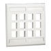 NK 12-Port, single gang, flush mount vertical Faceplate With labels, Electric Ivory