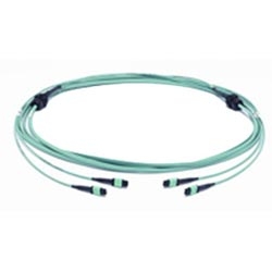 InstaPATCH 360 Trunk Cable, Pre-Terminated, OM4, LazrSPEED 550 Multimode, LSZH, 24-Fiber, MPO Female Connector, 60ft Length, Aqua Jacket, With Gland