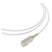 1F SC-PIGTAIL MM 50/125 LSZH  900UM WHITE CER. 2 MT.