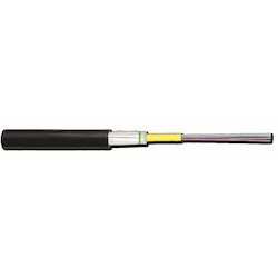 6F SM 9/125 OS2 PE BLACK LT CTGLASS YARN DIELEC ARMORED     FWCT01-S0006-U002