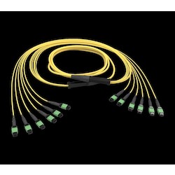 24-F EDGE8 TRUNK OS2          MTP-MTP FRNC 30MT             GE7E724GLZDDU030M