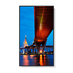65" Ultra High Definition (4K UHD) Commercial Display