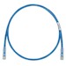 Cu PC Cat6 UTP Cbl BU 30ft EA