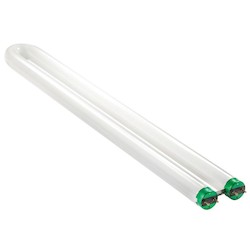 1 5/8&quot; U BENT T8 LAMPS        FB31T8/TL830/ALTO 15/1