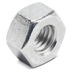 Nut, Standard Hex, Size 3/8 Inch, Stainless Steel