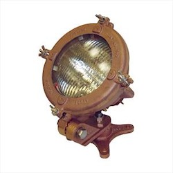 
 INCAND BRS-OUTSIDE FLOODLIGHT BR
