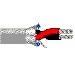 Multi-Conductor - Single-Pair Cable 2 24 AWG PP FS FRPVC Black