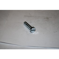 M6 X 25 STL SLTD CHEESE HD    M/SCREW ZINC/CLEAR CR3 DIN84