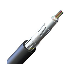 FREEDM Ribbon, Gel-Filled Cable, Riser, 72 fiber, Single-mode (OS2)
