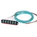 Closet Connector Housing (CCH) Panel, pigtailed, LC connectors, Duplex, 12 fiber, 50 µm multimode (OM4)