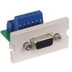 Audio Video Module, 15-pin F/Screw Terminal, SVGA, 1 Unit, Office White