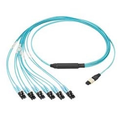 Hydra Cable Assembly, Six LC Duplex Connectors To Male MPO Connector, 12-Fibers OM3 50/125µm Multimode, Flat Ribbon, Plenum Rated, With 24" Breakout, 7 MT
