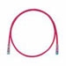 Cu PC Cat6 UTP Cbl RD 40ft EA