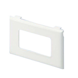 Faceplate Elec/Comm EI EA