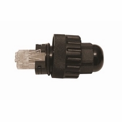 MALE RJ45 for AXIS 209FD-R 10 pack