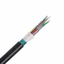 FOWNZ06 - PANDUIT - 6 Fiber Cable OM4 | Anixter