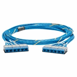 QN Cable Assembly, Category 6, CMP, Blue UTP Cable, Cassette to Cassette, 34ft